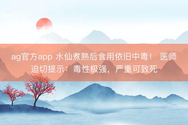 ag官方app 水仙煮熟后食用依旧中毒！ 医师迫切提示：毒性极强，严重可致死