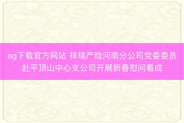 ag下载官方网站 祥瑞产险河南分公司党委委员赴平顶山中心支公